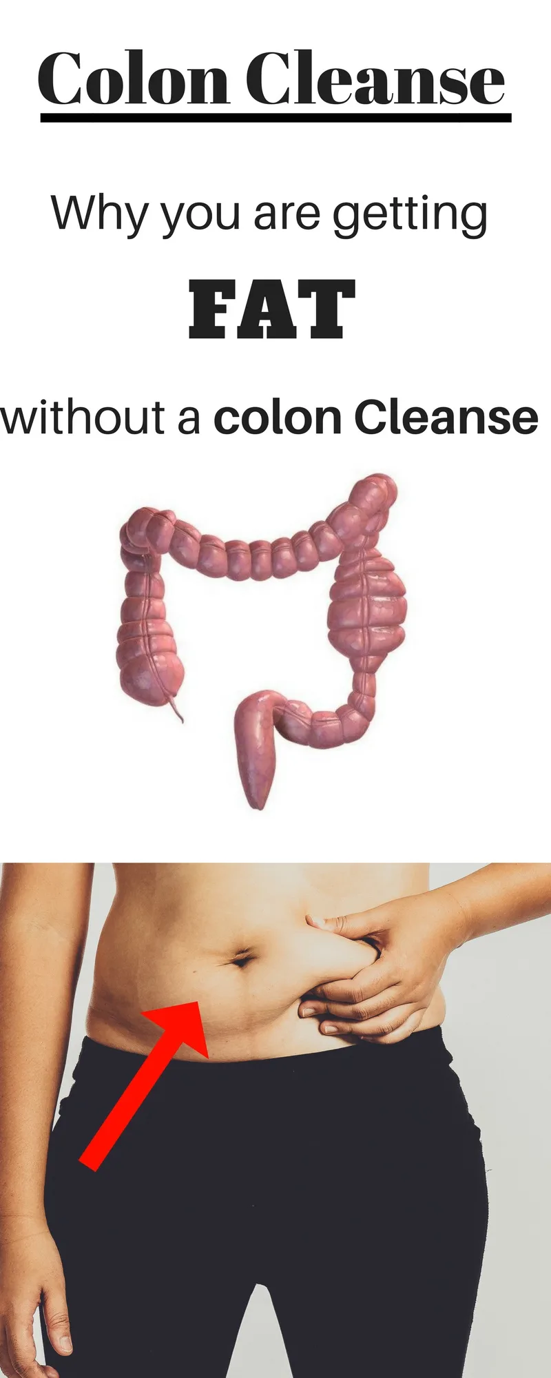 Dotolo Colonic Machine Tubes 198